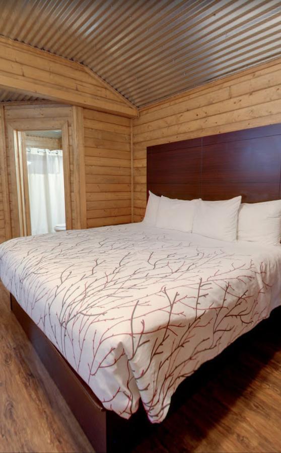 Paradise Rv & Cabins Resort 温顿 外观 照片